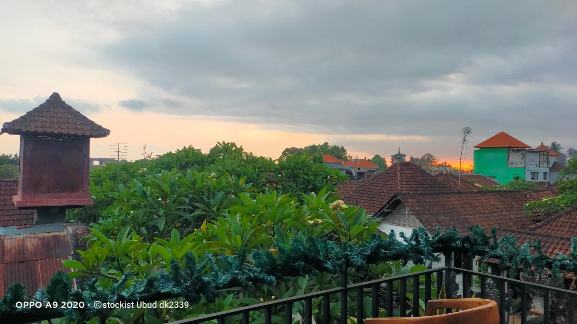 Danu House Ubud エクステリア 写真