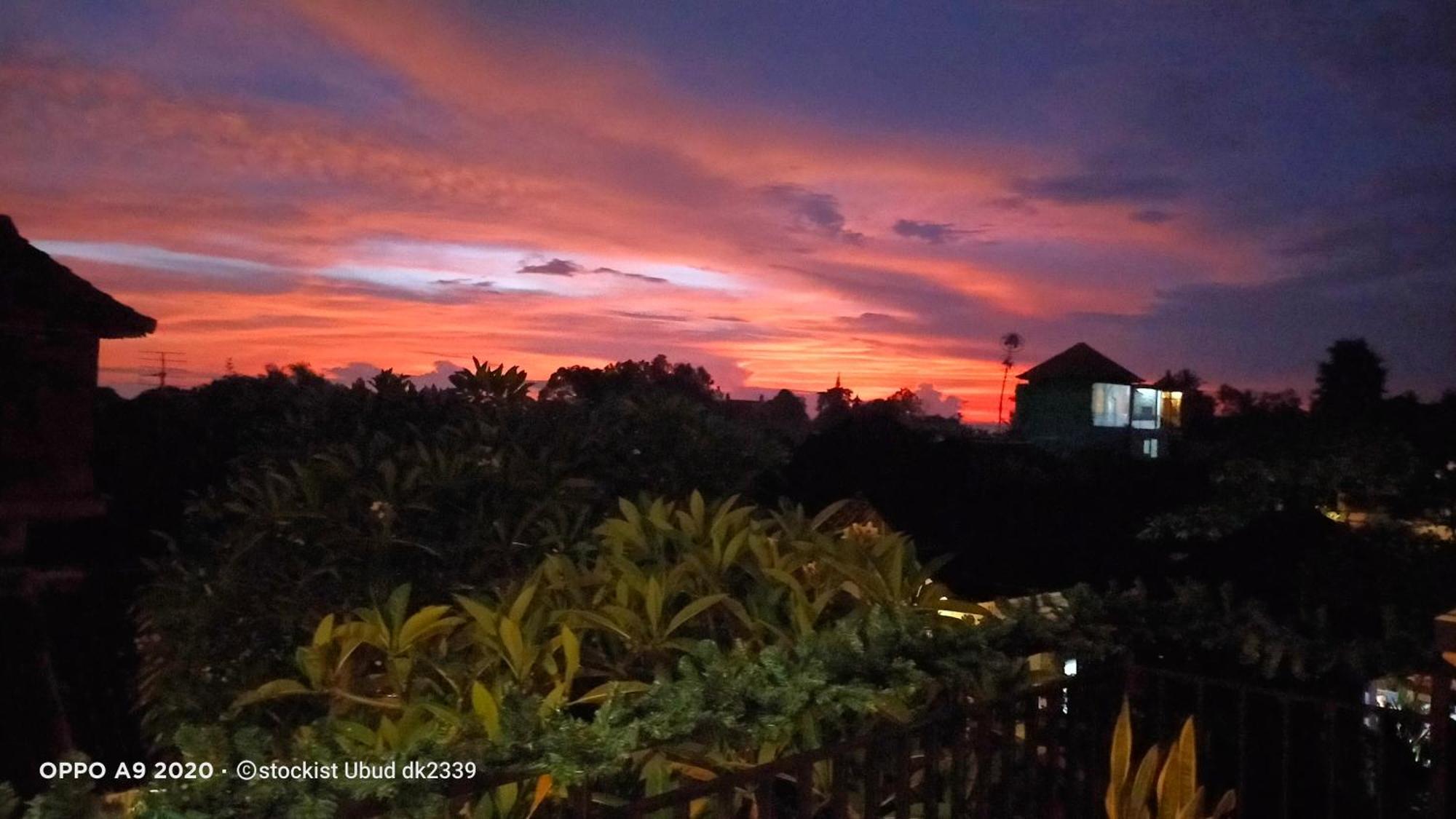Danu House Ubud エクステリア 写真