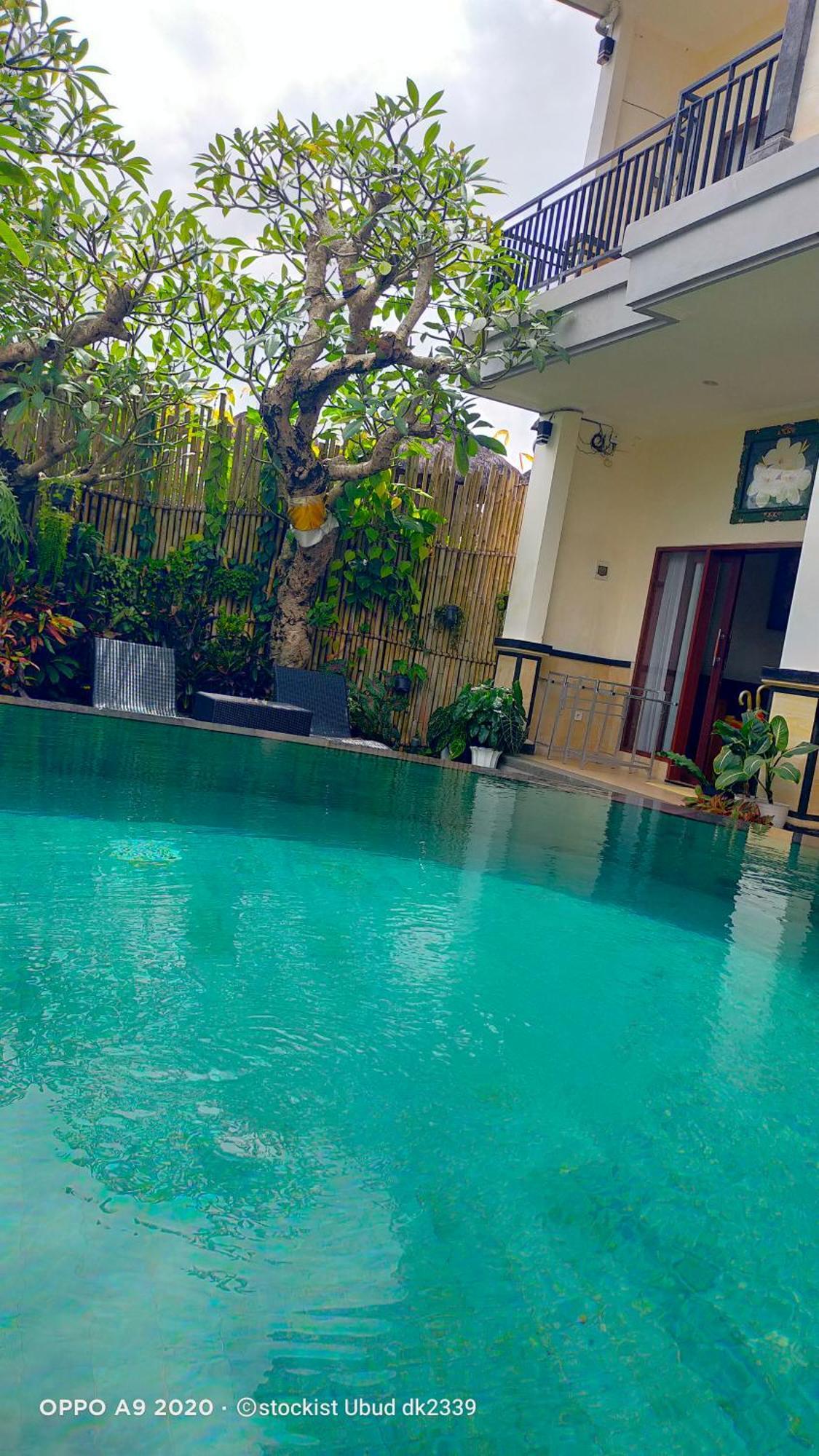 Danu House Ubud エクステリア 写真