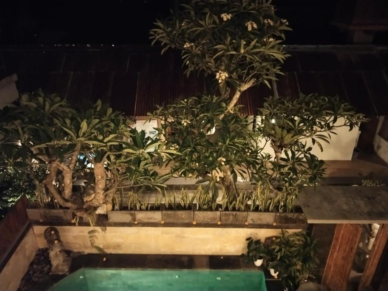 Danu House Ubud 部屋 写真